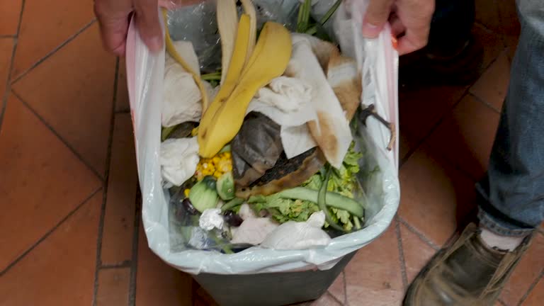 Best Property Management Cleanouts  in , UT